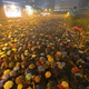Pro-democracy protests stand in the rain near government offices in Hong Kong on Sept 30, beginning the Umbrella Movement.